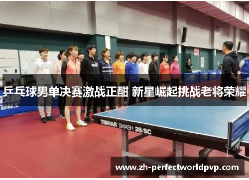 乒乓球男单决赛激战正酣 新星崛起挑战老将荣耀